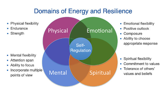 Domains of Energy and Resilience