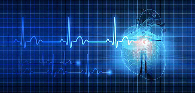 Heart Rate Variability Basics Physiological Mechanisms and Assessments